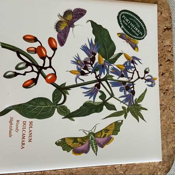 English Tile or Trivet made by H&R Johnson. Woody Nightshade - Picture 2 of 3
